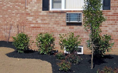 new-jersey-landscapers