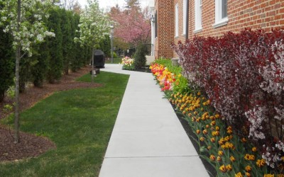 south-jersey-home-lanscaping-path